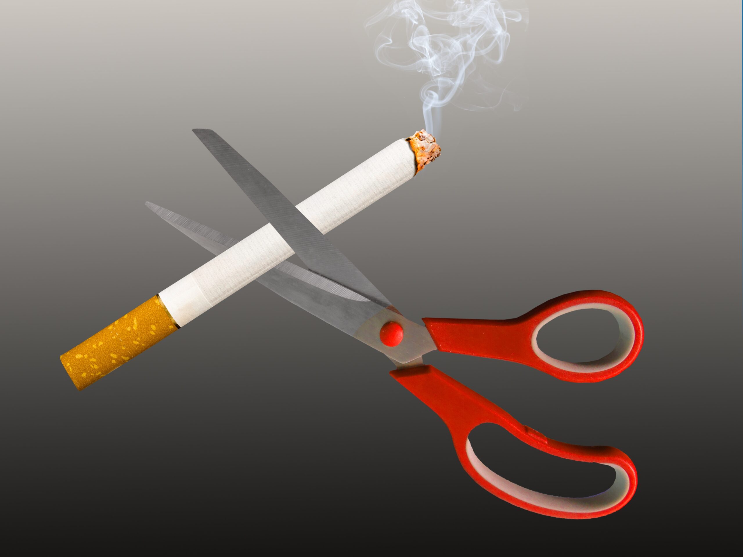 garten-gg-smoking-2369207